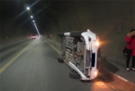 一头猪掉下车 在南山隧道高速上引发交通事故