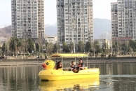 汉丰湖一群大黄鸭都玩疯了！