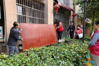 文峰街道南郊开展清理“小菜园” 美化“大家园”活动