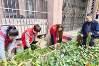 文峰街道南郊开展清理“小菜园” 美化“大家园”活动
