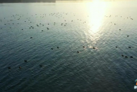 哇塞 冬天里的汉丰湖也太漂亮了！